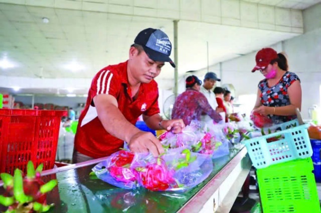 SPS siết chặt, doanh nghiệp xuất khẩu phải đi trược một bước
