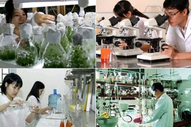 Điều kiện thành lập tổ chức khoa học và công nghệ