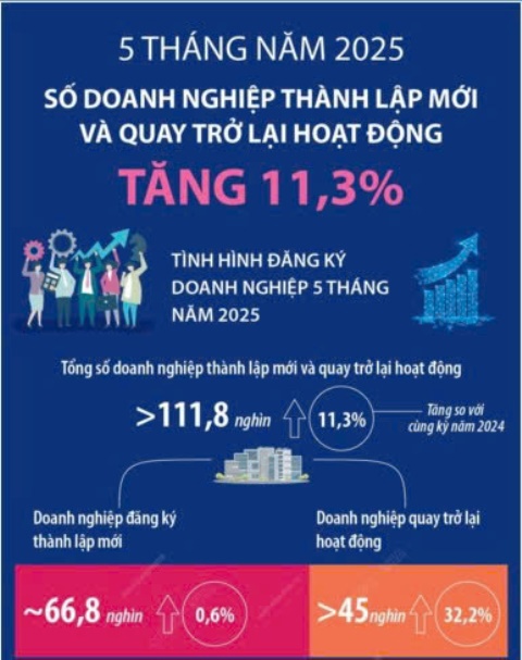 Số doanh nghiệp thành lập mới và quay trở lại hoạt động tăng 11,3%